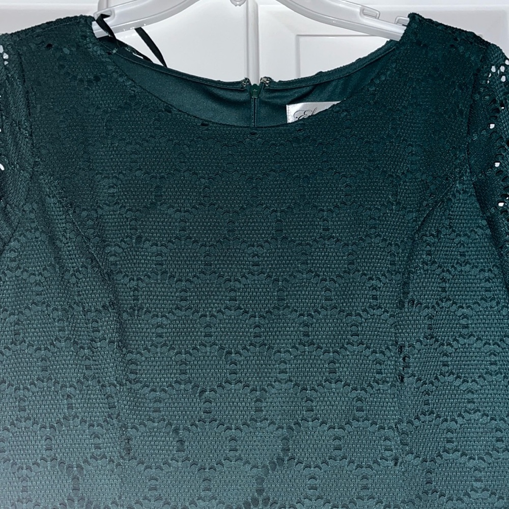 NWT Eliza J Cocktail dress size 12P